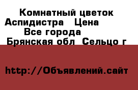 Комнатный цветок Аспидистра › Цена ­ 150 - Все города  »    . Брянская обл.,Сельцо г.